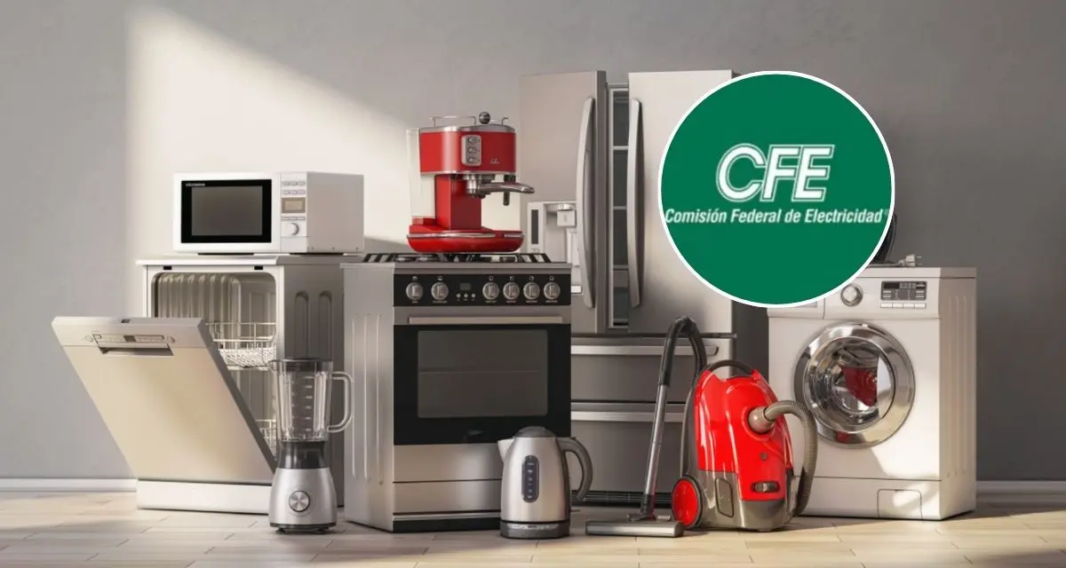 Conoce los pasos para adquirir electrodomésticos de la CFE. Foto: cortesía