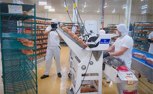 Sinaloa suma 114,772 millones de pesos en inversión privada en actual gobierno