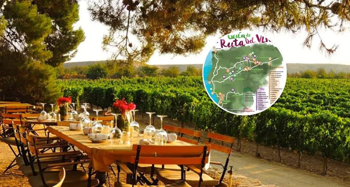 ¿Cómo hacer la Ruta del Vino en Baja California?