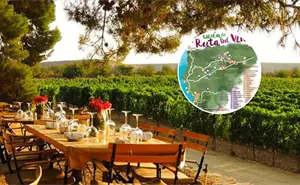 ¿Cómo hacer la Ruta del Vino en Baja California?