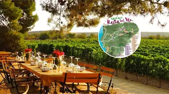 ¿Cómo hacer la Ruta del Vino en Baja California?