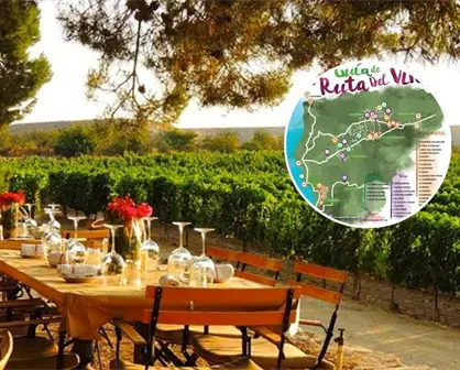 ¿Cómo hacer la Ruta del Vino en Baja California?