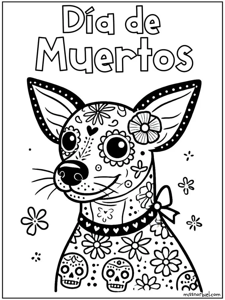 imagen recuadro