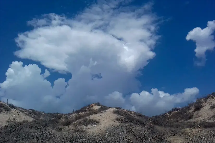Consulta el clima en Los Cabos. Foto: Cortesía.