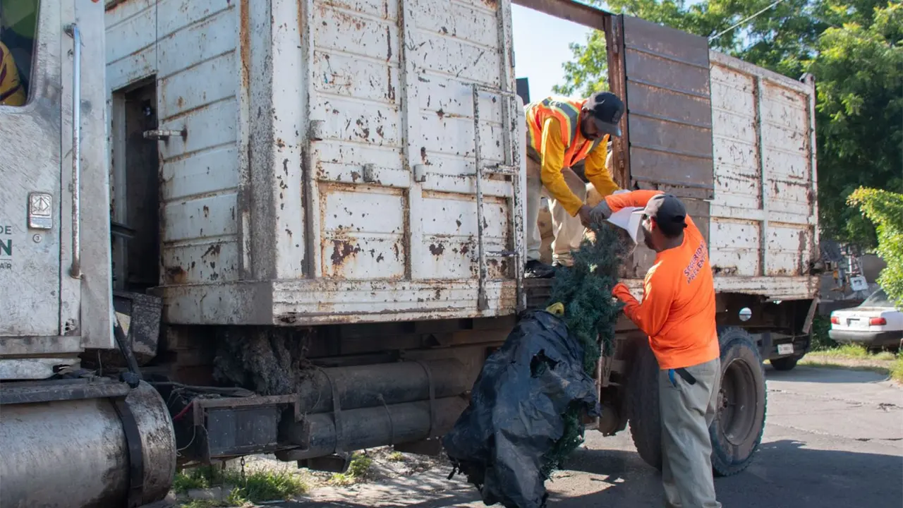 Campaña de descacharrización en Culiacán busca eliminar criaderos del mosquito transmisor del dengue. Foto: Ayuntamiento de Culiacán
