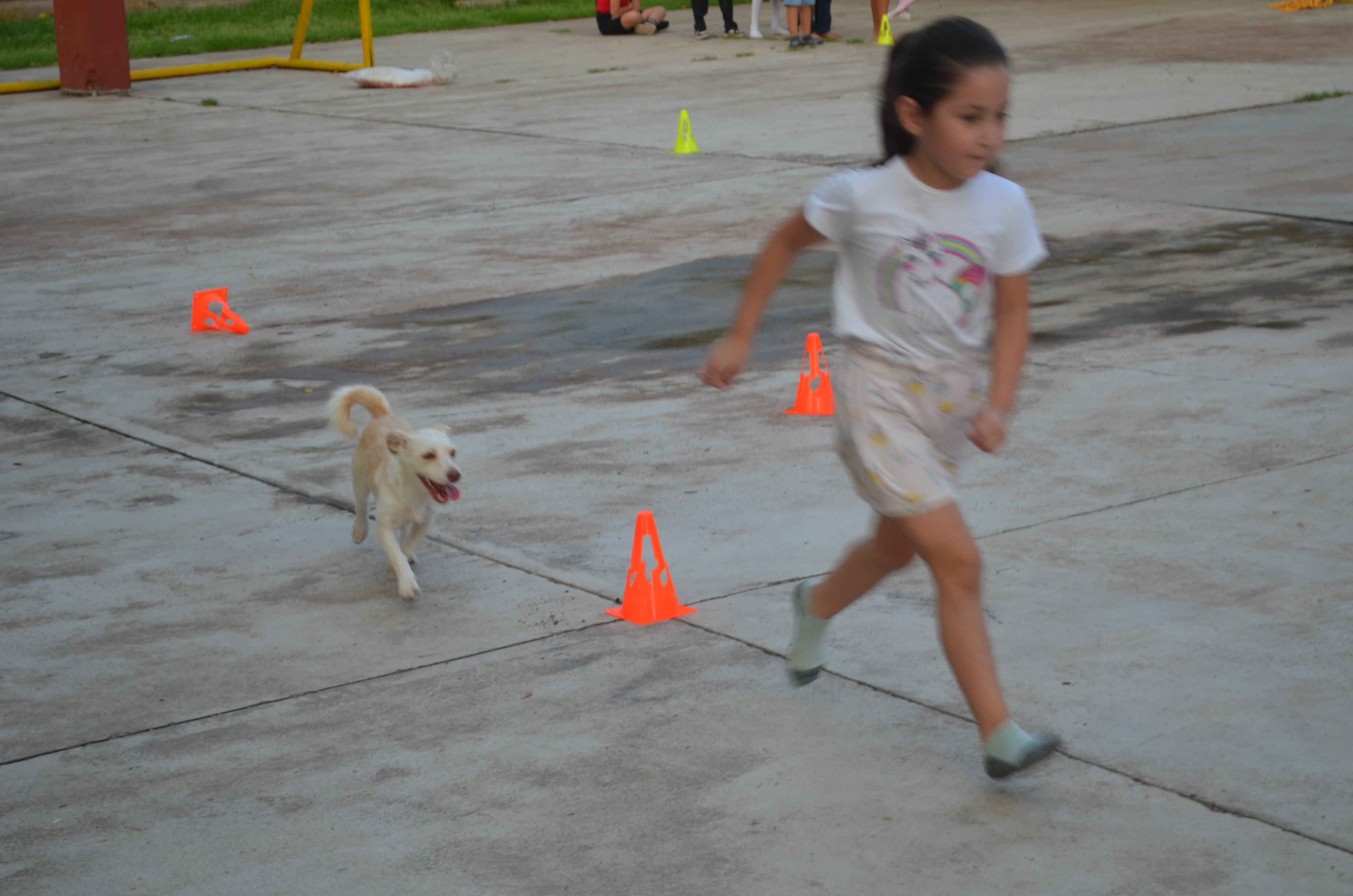 Imagen 3