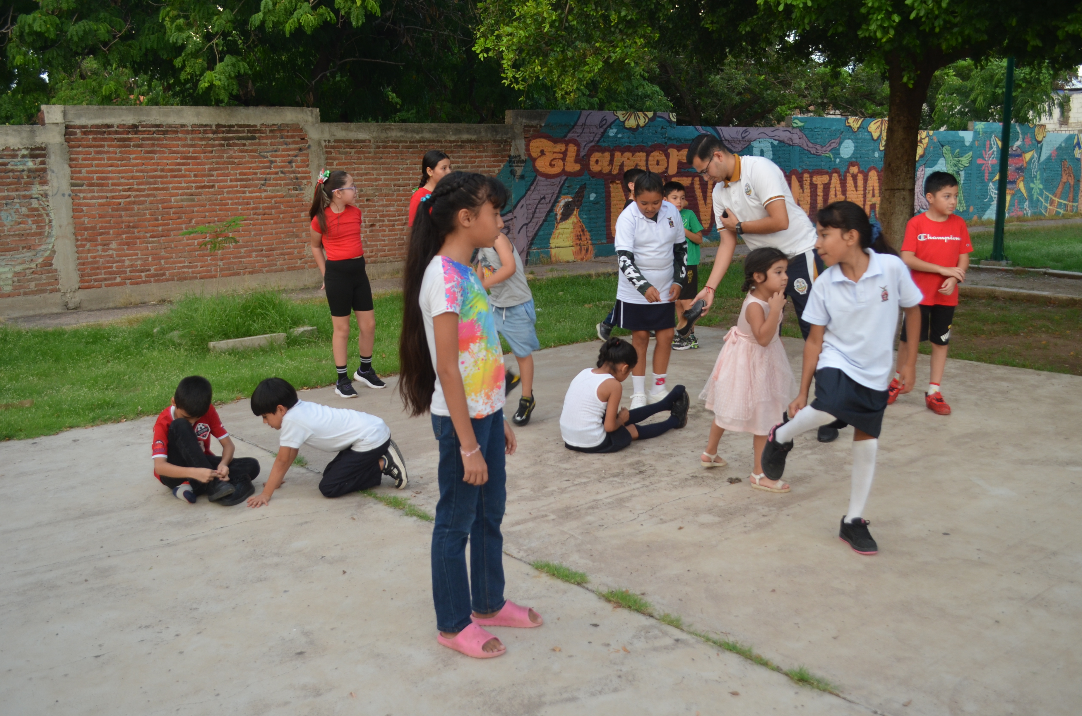 Imagen 13