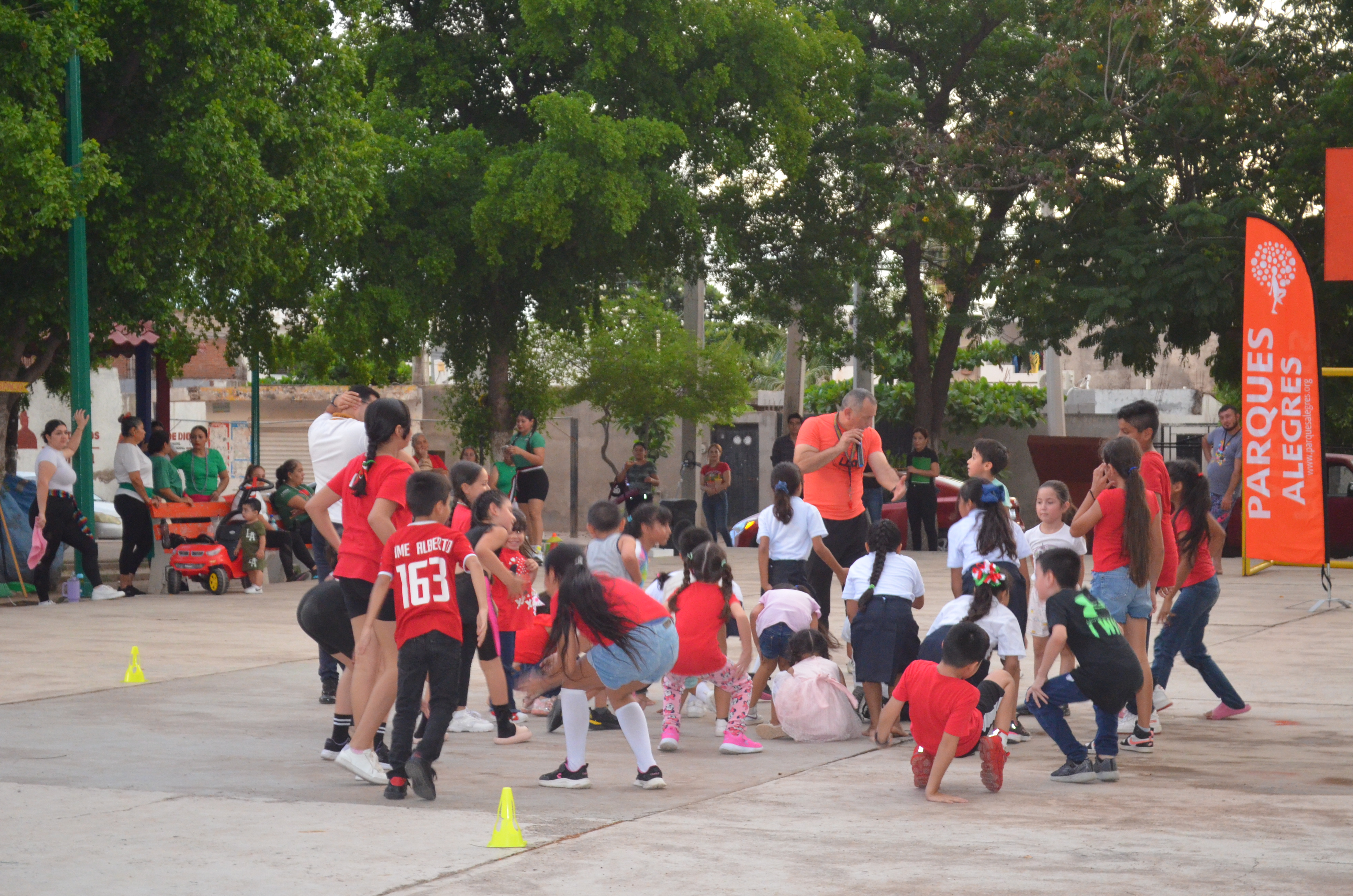 Imagen 14