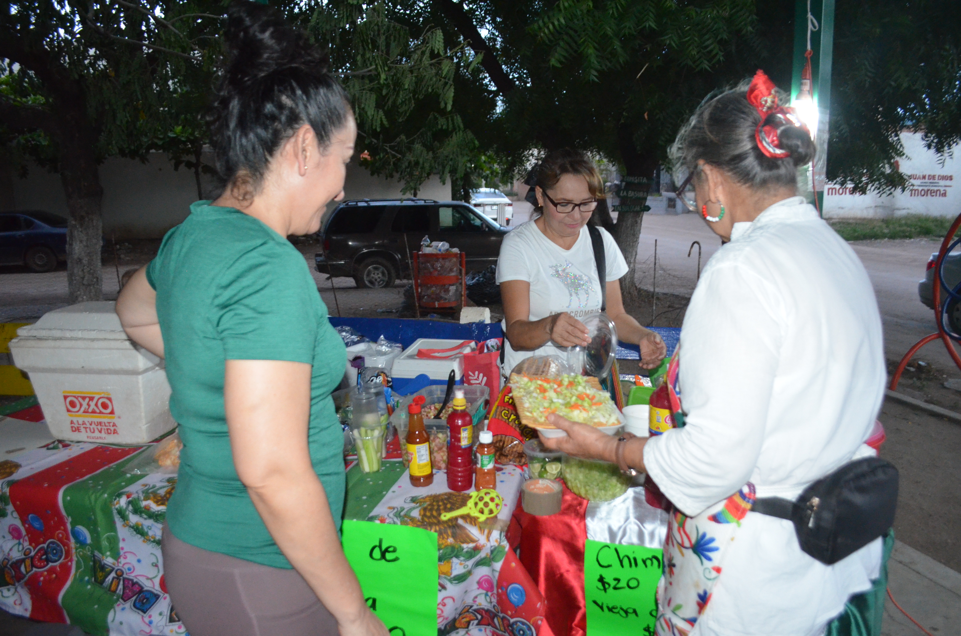 Imagen 6