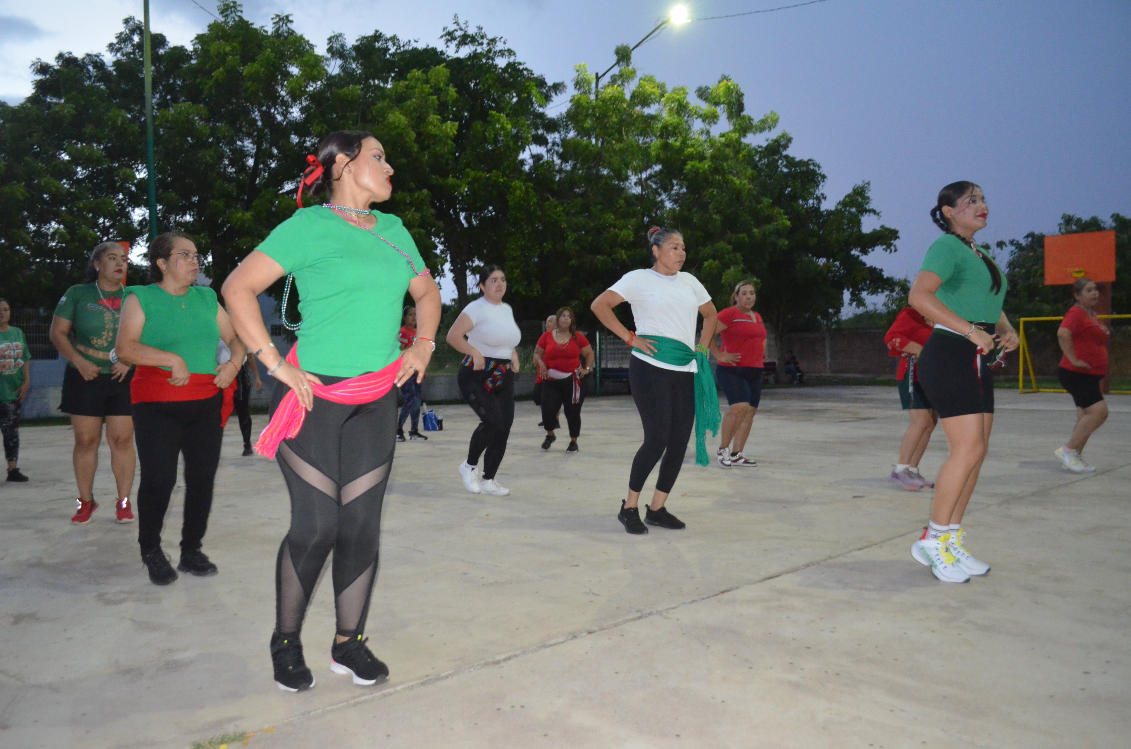 Imagen 5