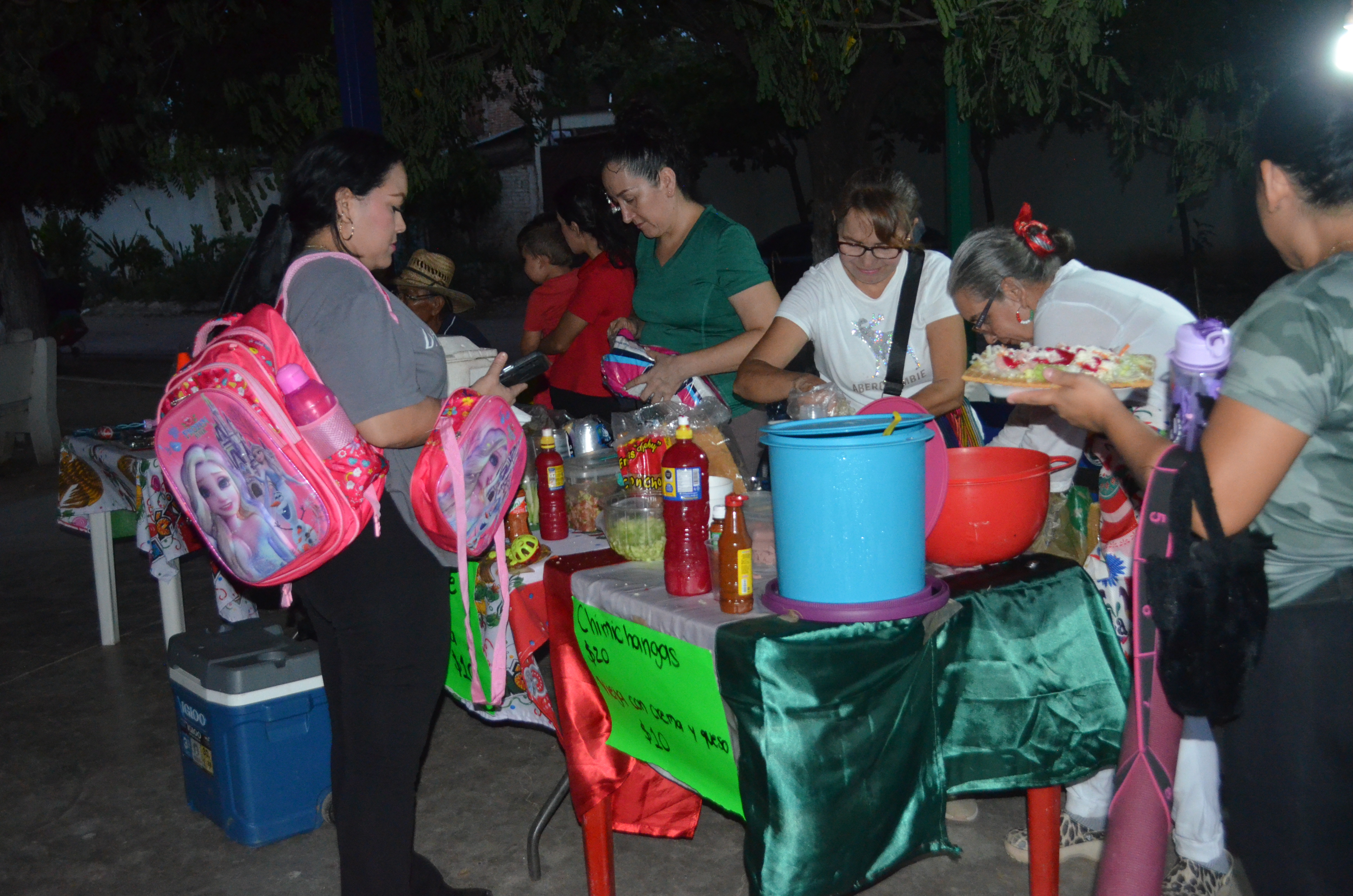 Imagen 11
