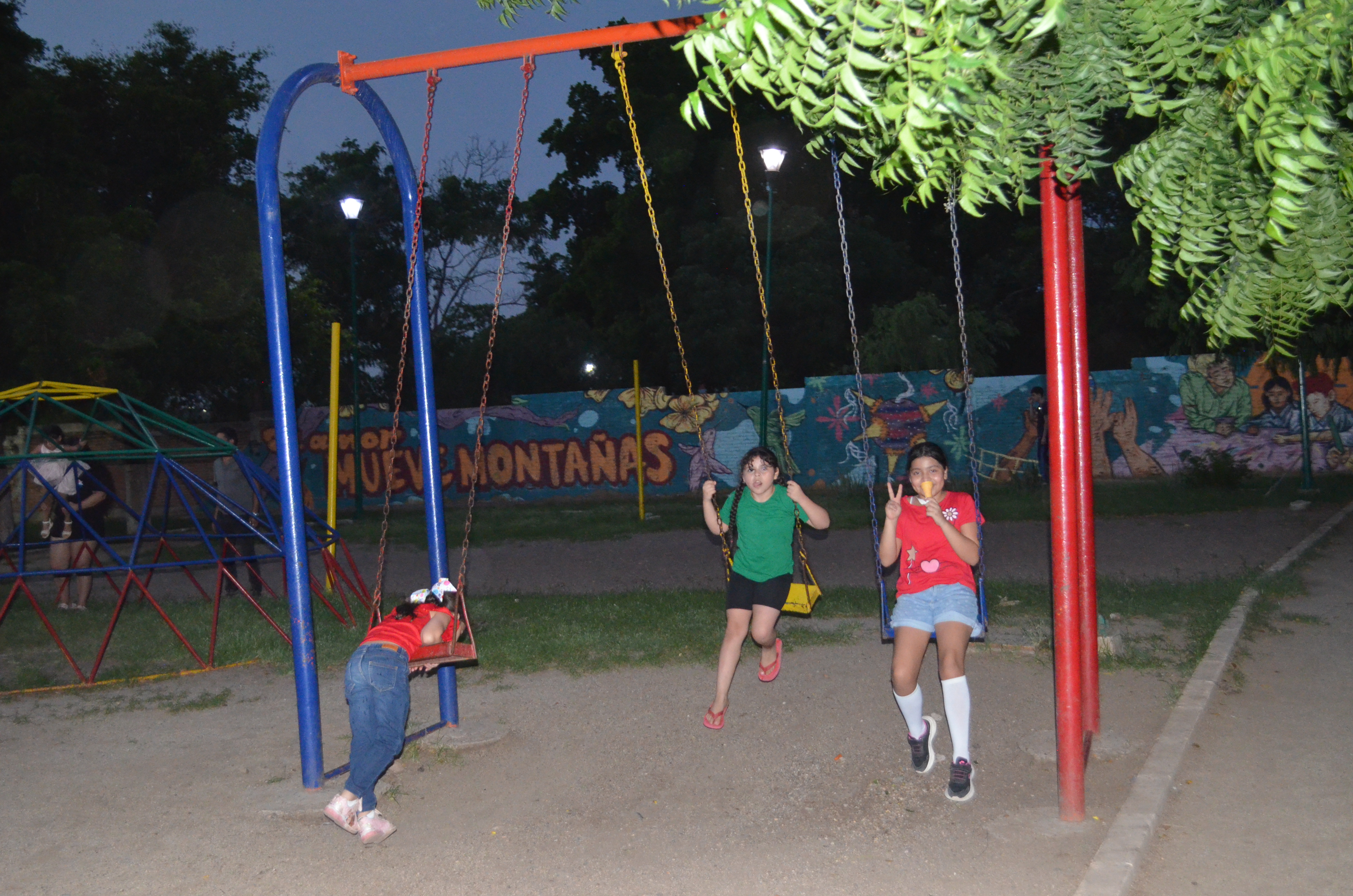 Imagen 7