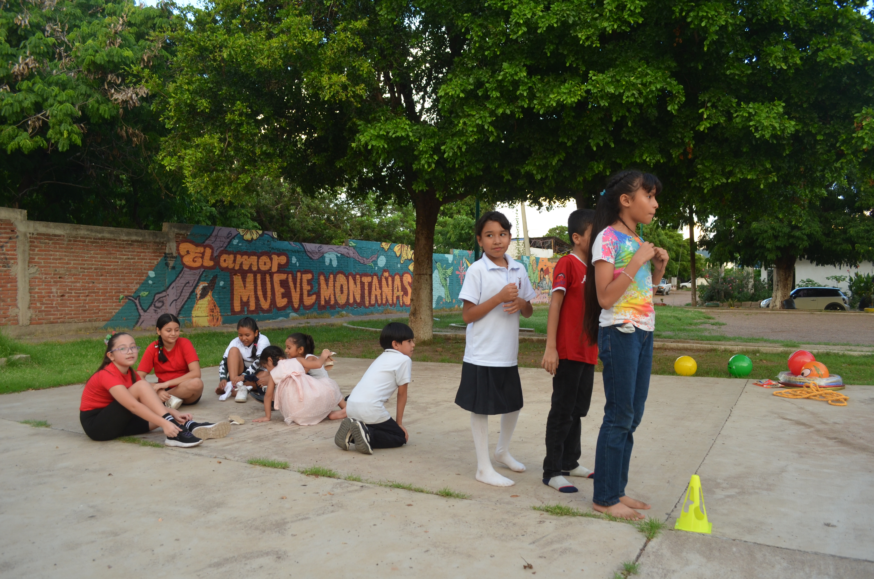 Imagen 19