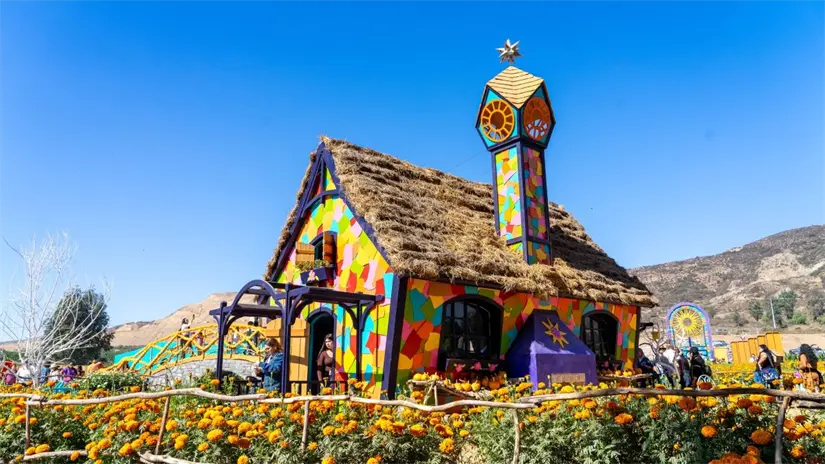 Así son los recorridos de la Ruta de las Flores en Baja California. Foto: Cortesía