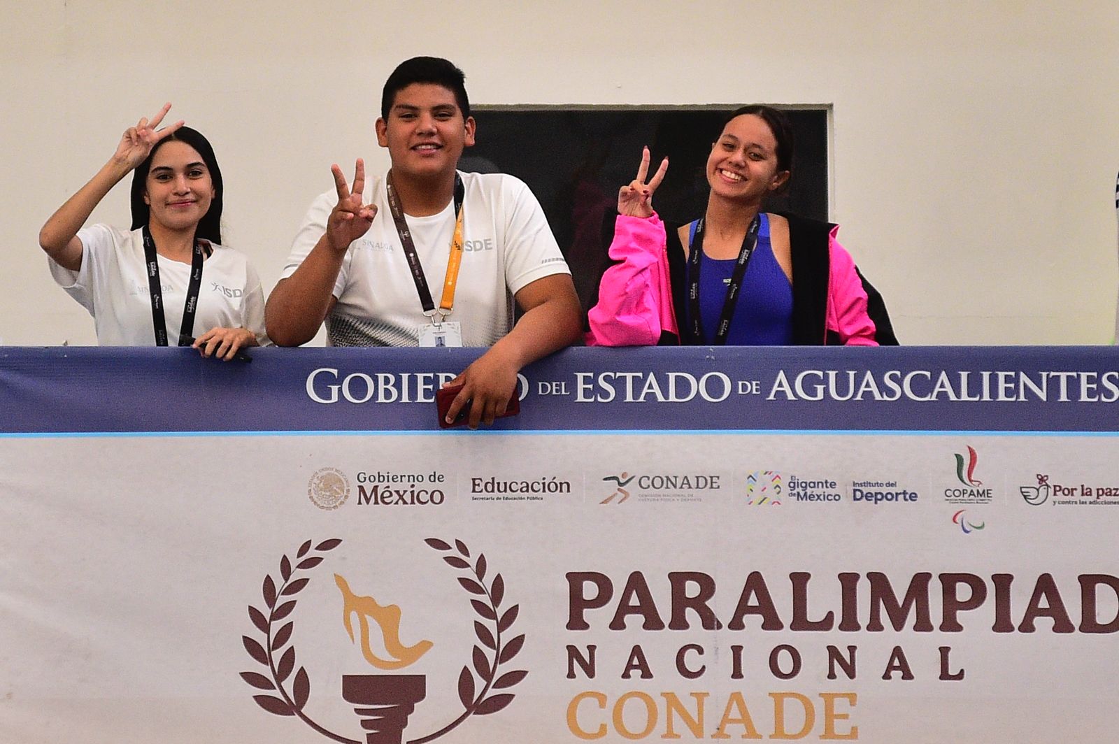 Imagen 14