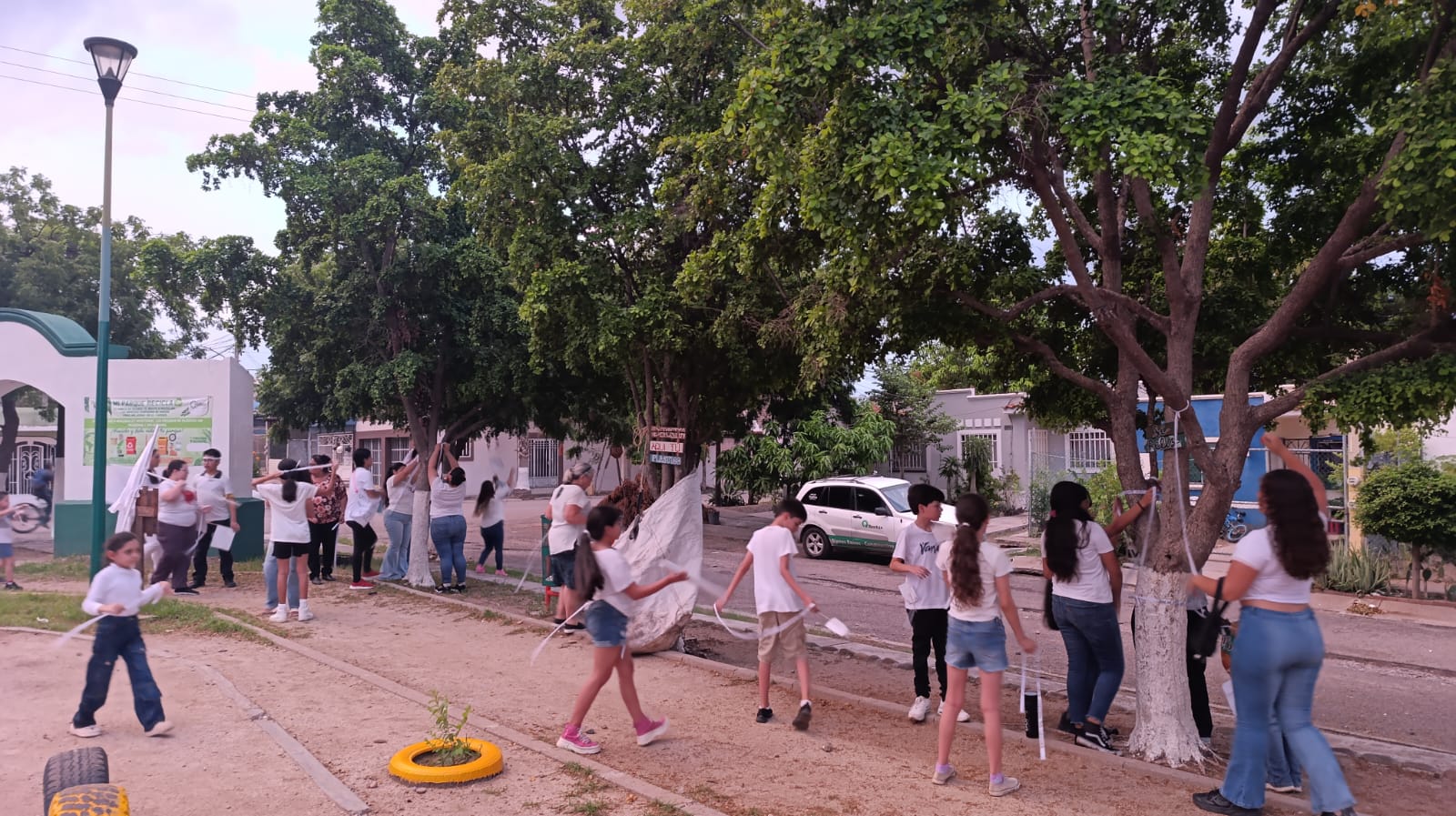 Imagen 11