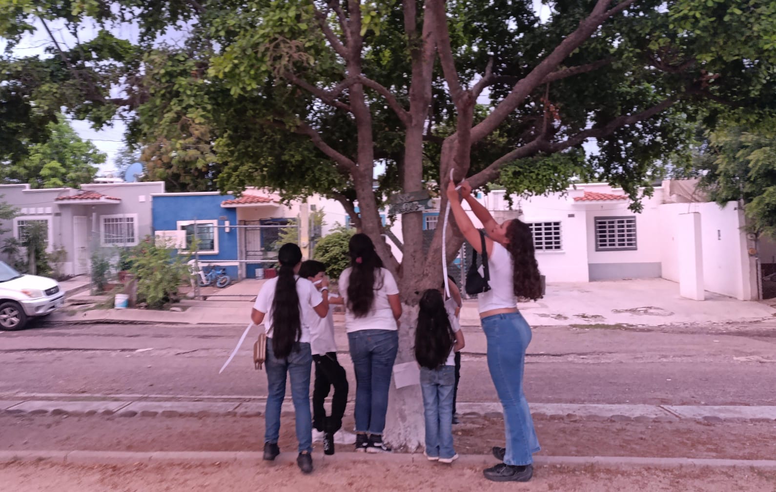 Imagen 17