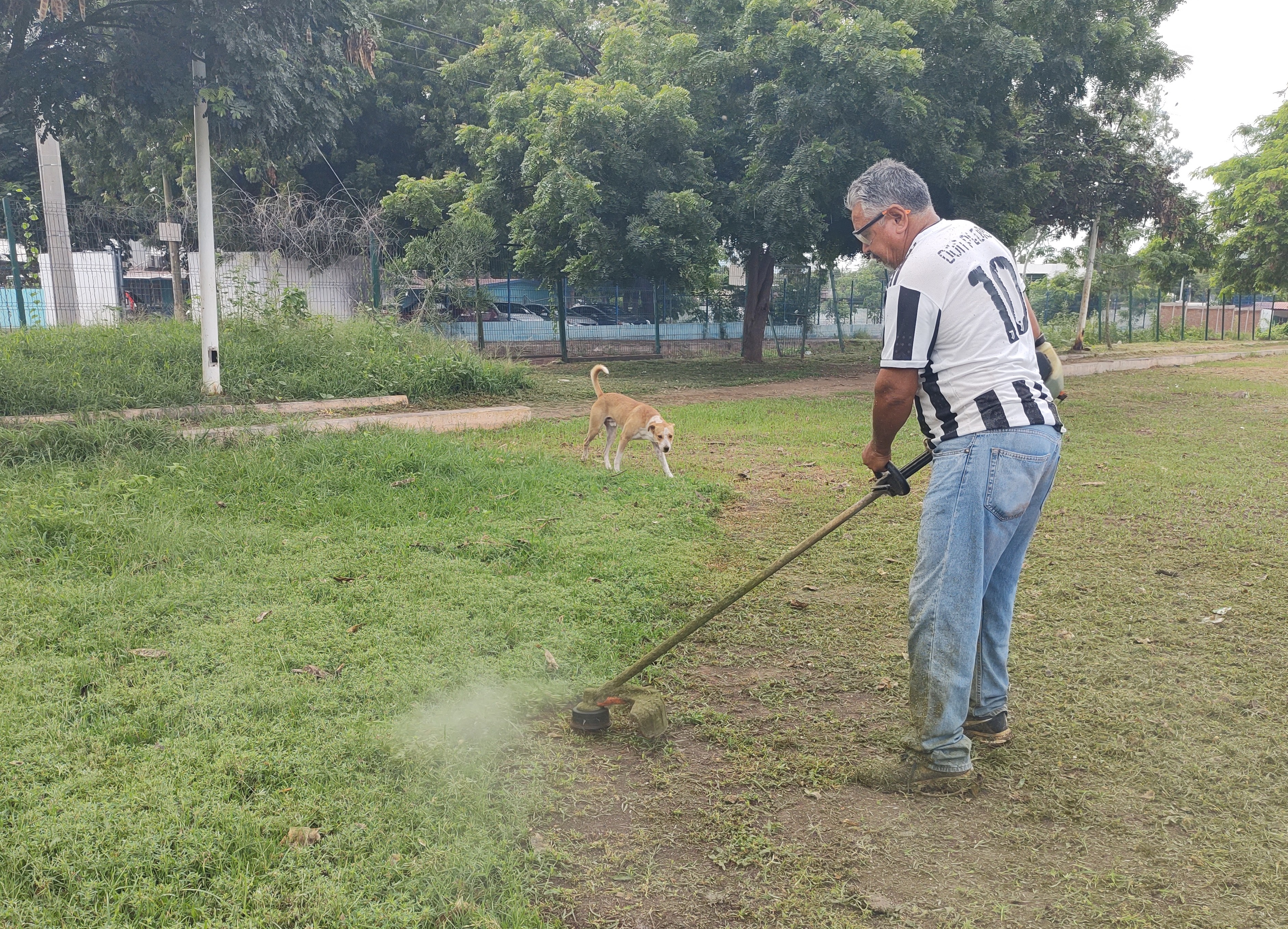 Imagen 3