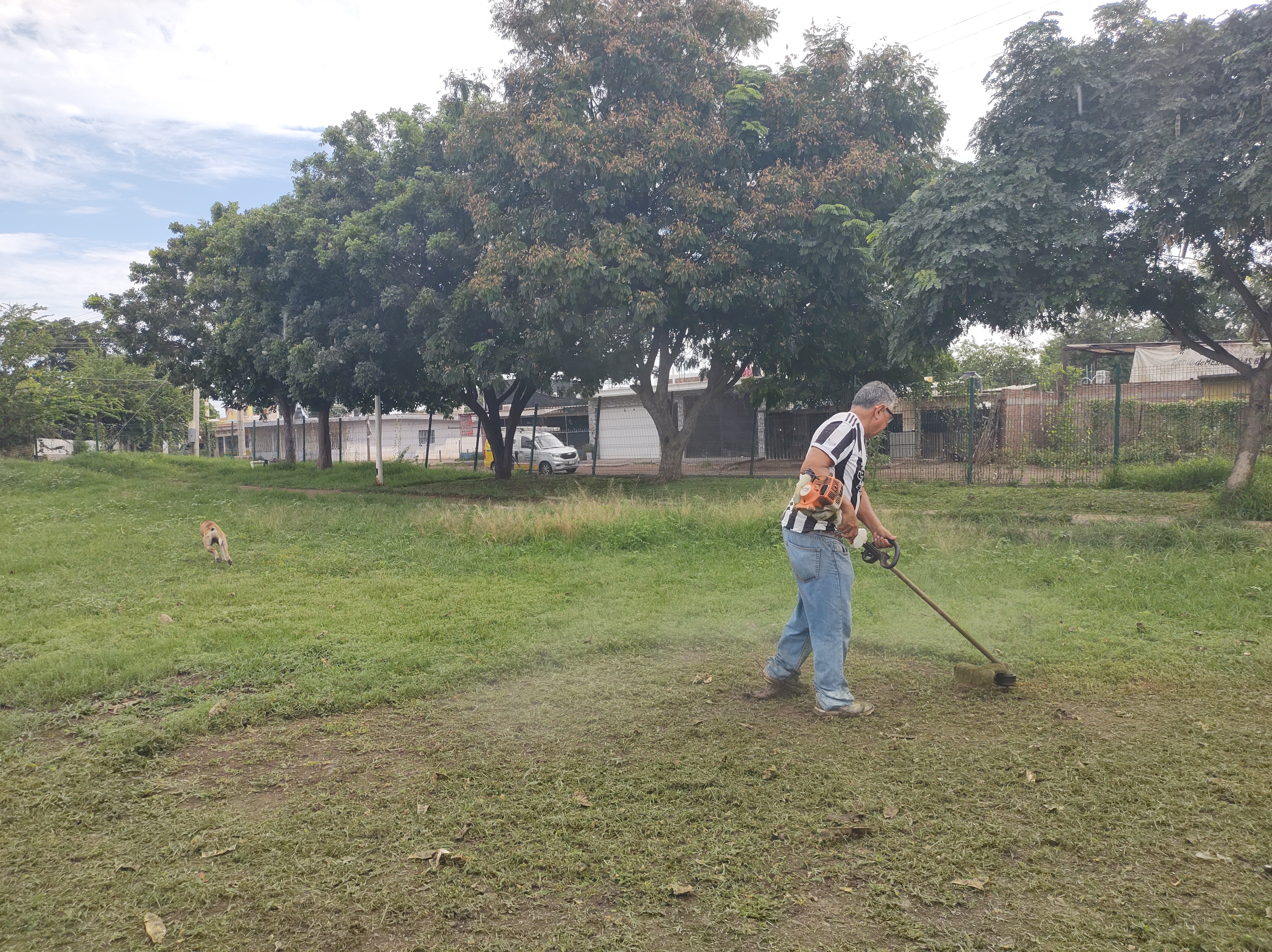 Imagen 6