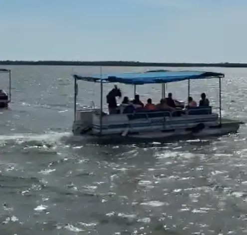Los visitantes también disfrutaron de paseos en lancha.