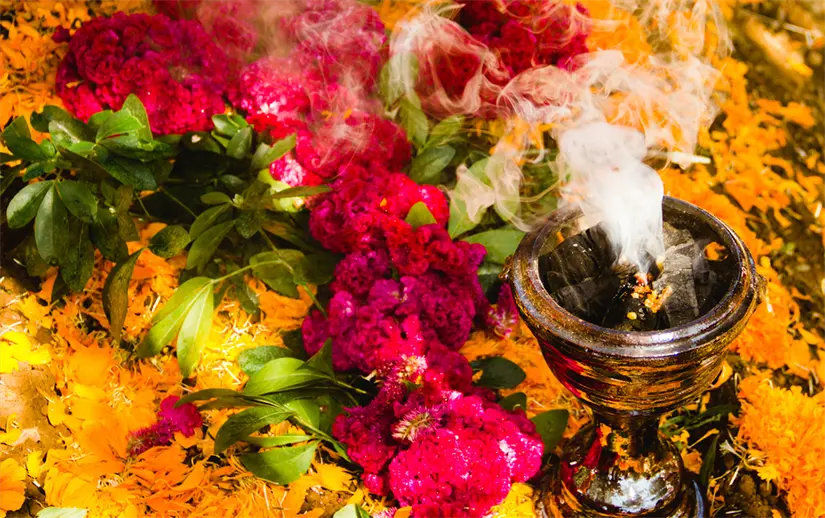 La importancia de la flor de cresta de gallo en los altares de Día de Muertos. Foto: Cortesía.