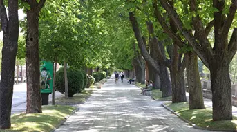 La paz a nivel mundial