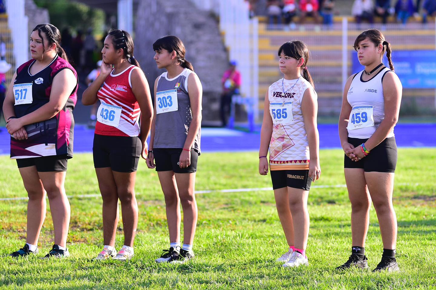 Imagen 15