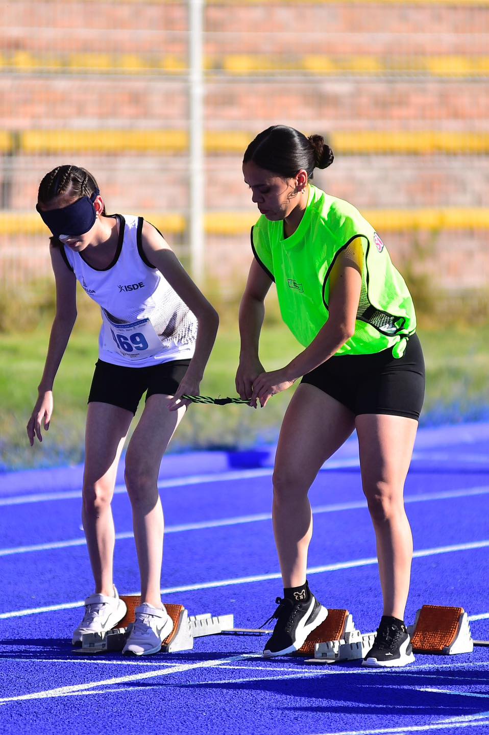 Imagen 5