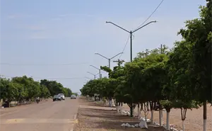 Vecinos de El Tigre en Navolato, celebran el regreso de la luz en su calle principal