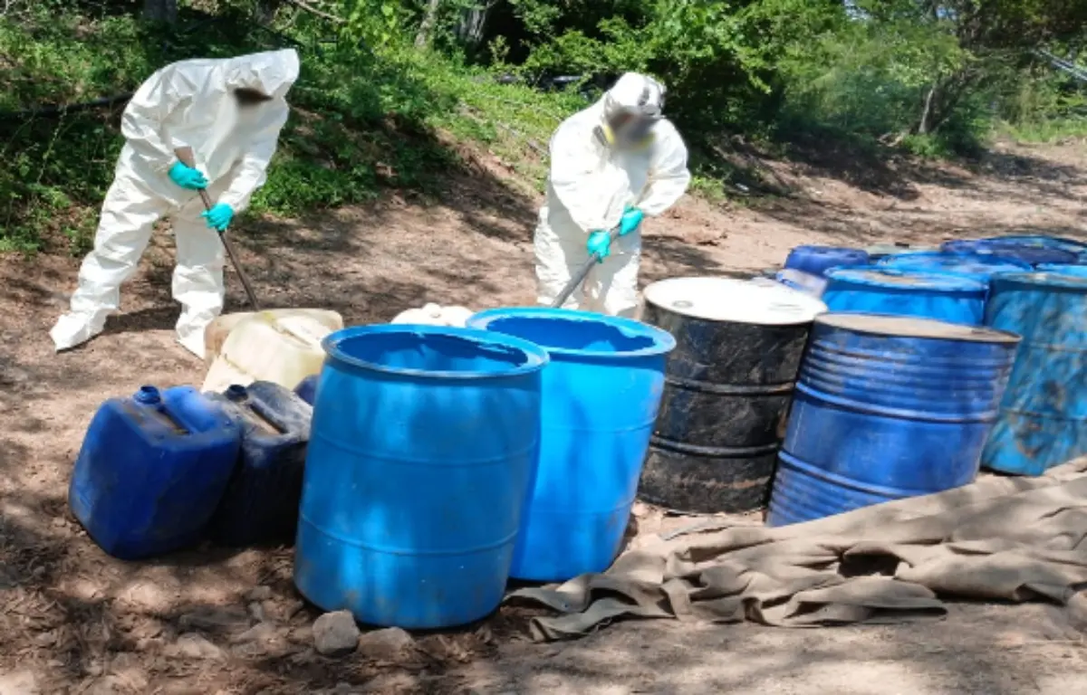 Los decomisos se realizaron en Culiacán, Cosalá y Badiraguato. Foto: SSPC