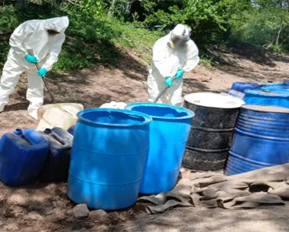Decomiso millonario en Sinaloa: aseguran sustancias químicas con valor de 337 mdp
