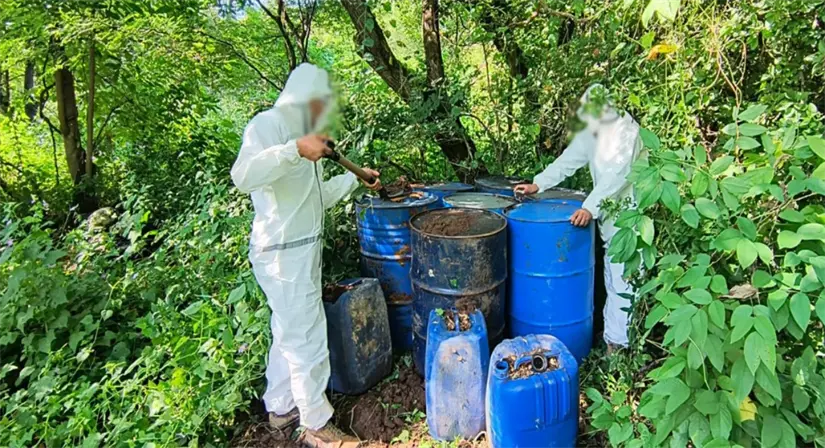 Este decomiso representa un golpe de 337 millones de pesos al crimen organizado. Foto: SSPC