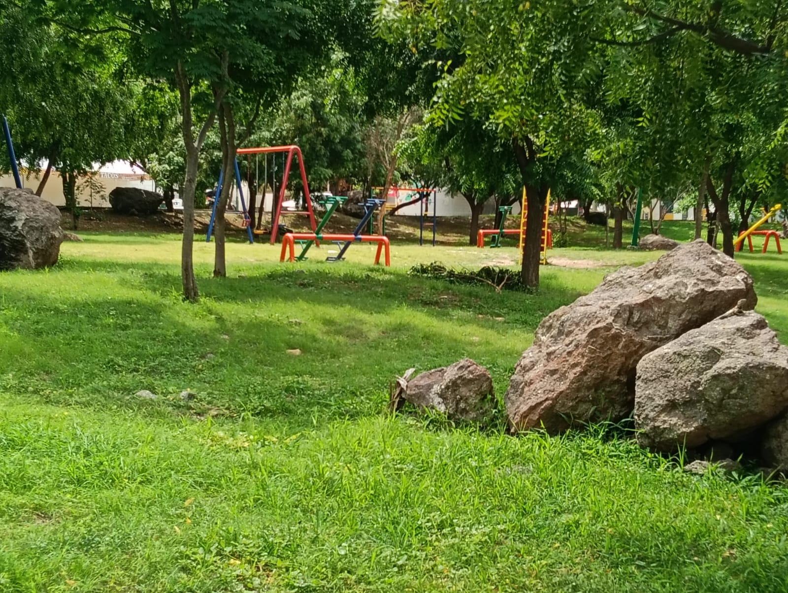 Imagen 5