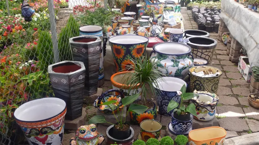 El Mercado de Flores y Plantas Cuemanco es el más grande en su tipo en Latinoamérica. Foto: Cortesía.