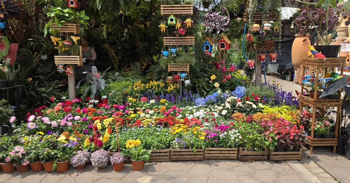 El jardín más grande de Latinoamérica está en CDMX: conoce el Mercado de Flores de Cuemanco