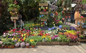 El jardín más grande de Latinoamérica está en CDMX: conoce el Mercado de Flores de Cuemanco