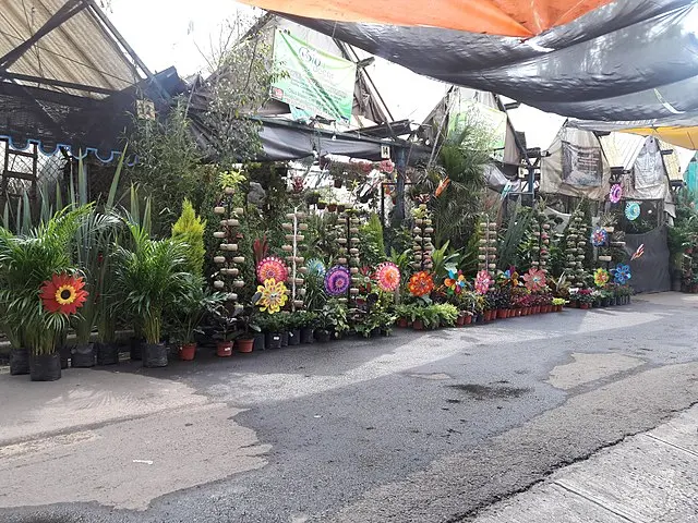 Puedes visitar el Mercado de Flores y Plantas cualquier día de la semana. Foto: Cortesía.