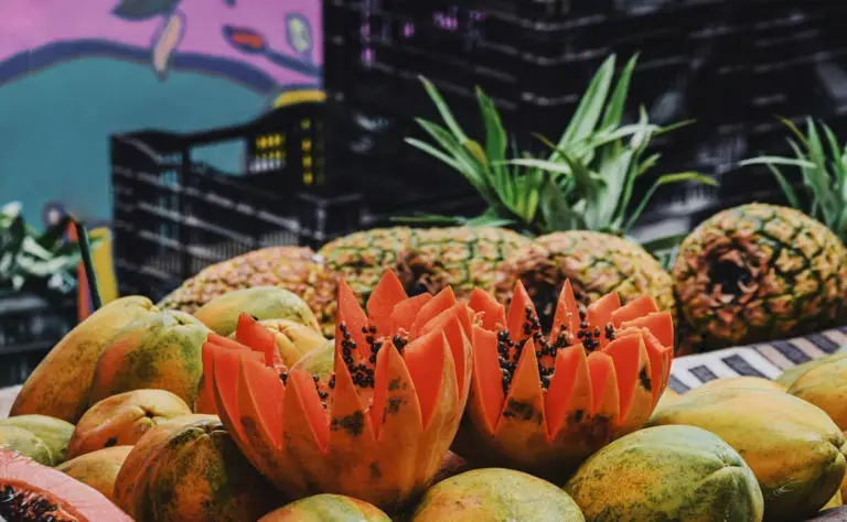 Asegura no dañar la papaya al examinarla. Foto: Cortesía