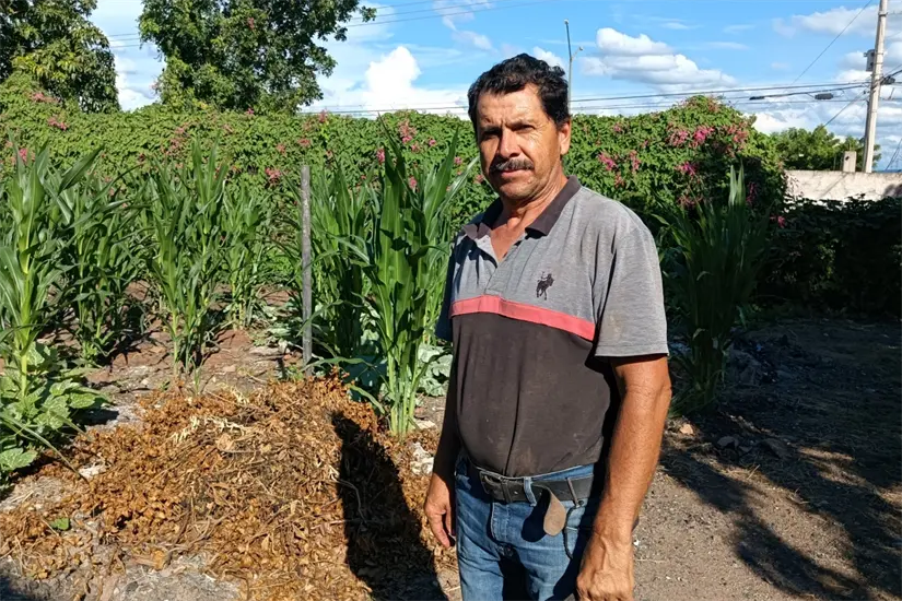 Isidro aprovechó un solar frente a su taller para sembrar un maizal, con ello evita que el lugar que estaba baldío sea utilizado como tiradero de basura. El espacio ahora tiene vida.