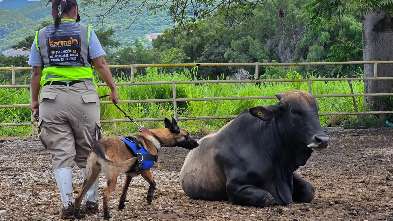 SuKarne une ciencia, ética y amor por los animales para construir un futuro más seguro y sostenible en la ganadería. Foto: SuKarne