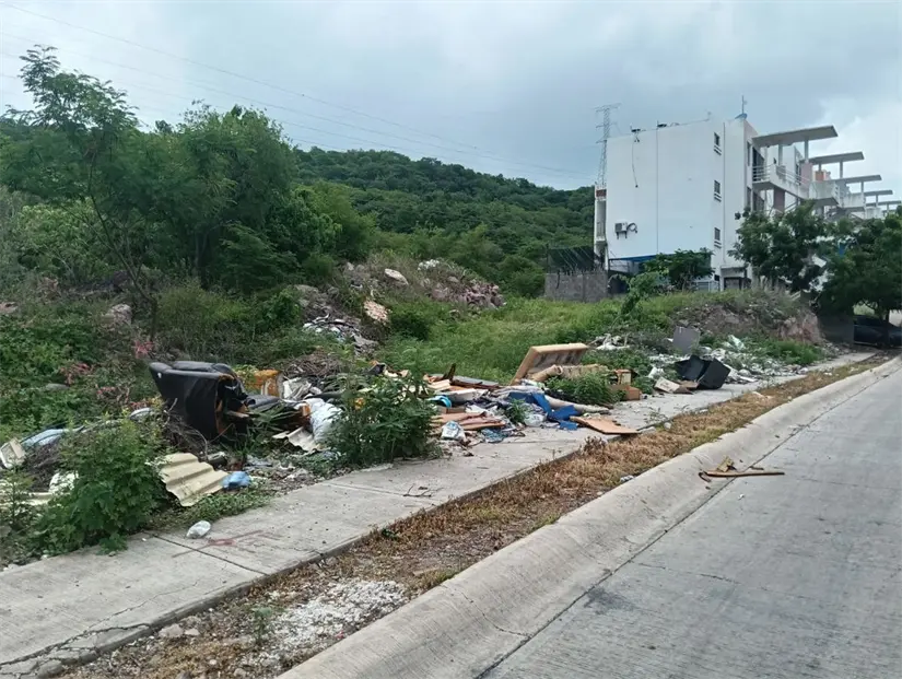 Los vecinos de Alturas del Sur, buscan tener un lugar limpio para vivir