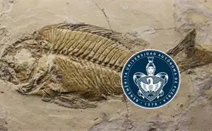 Descubren en Puebla un “acuario petrificado” de 90 millones de años