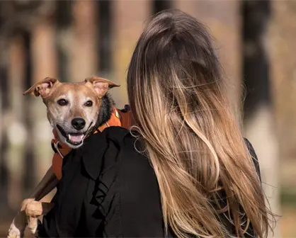 Este fin de semana es la Feria de los Animales en Saltillo; talleres, esterilizaciones y más