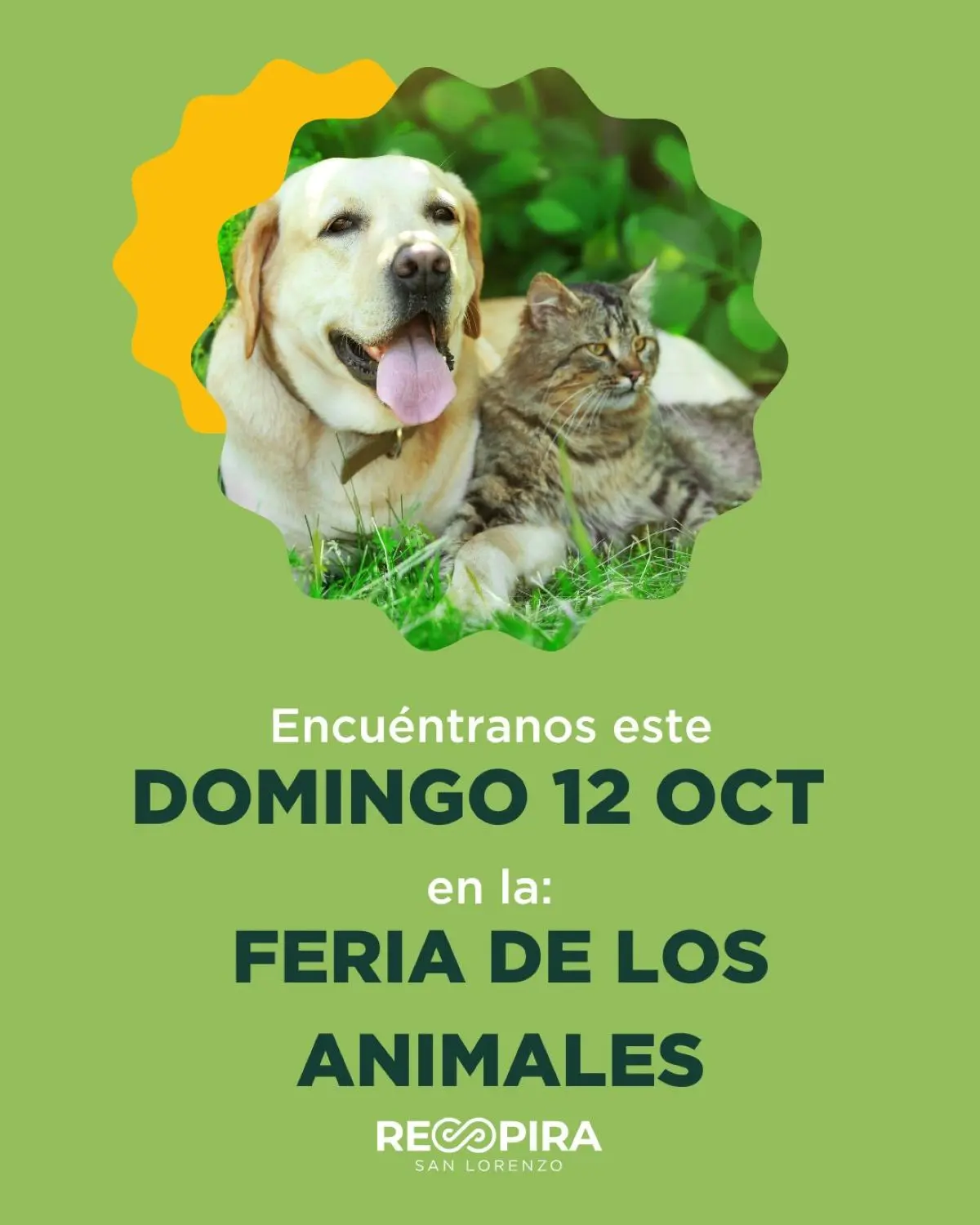 Invitan a la Feria de los Animales en Saltillo. Foto: Cortesía