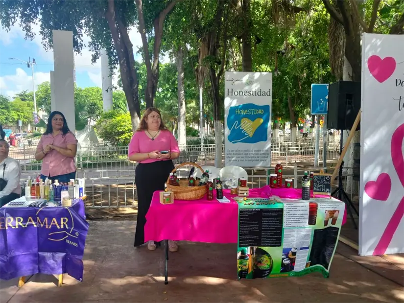 Las emprendedoras de Navolato, trabajan para una buena causa. Tienen su Bazar Rosa en el Plazuela Vicente Guerrero.