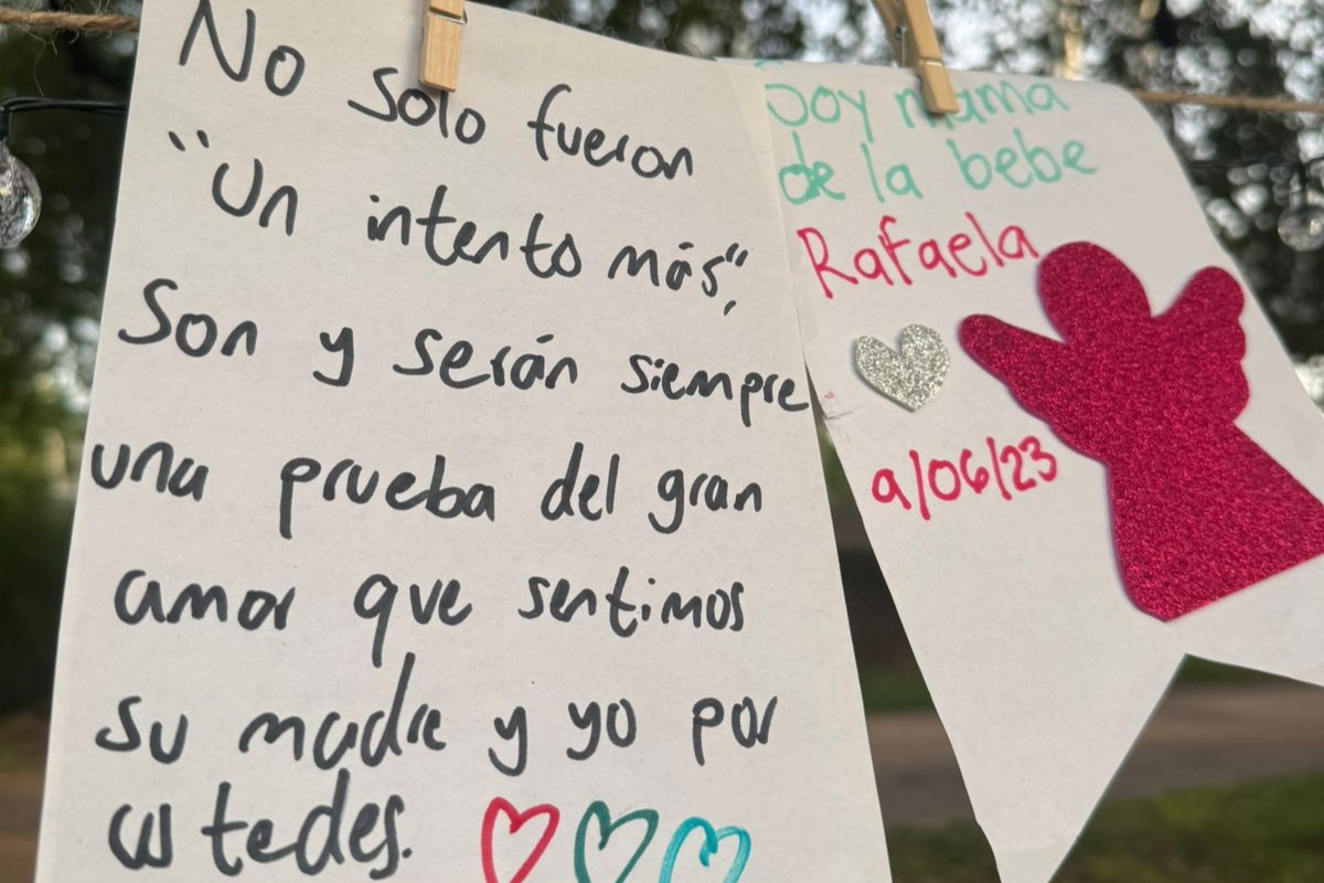 Imagen 13