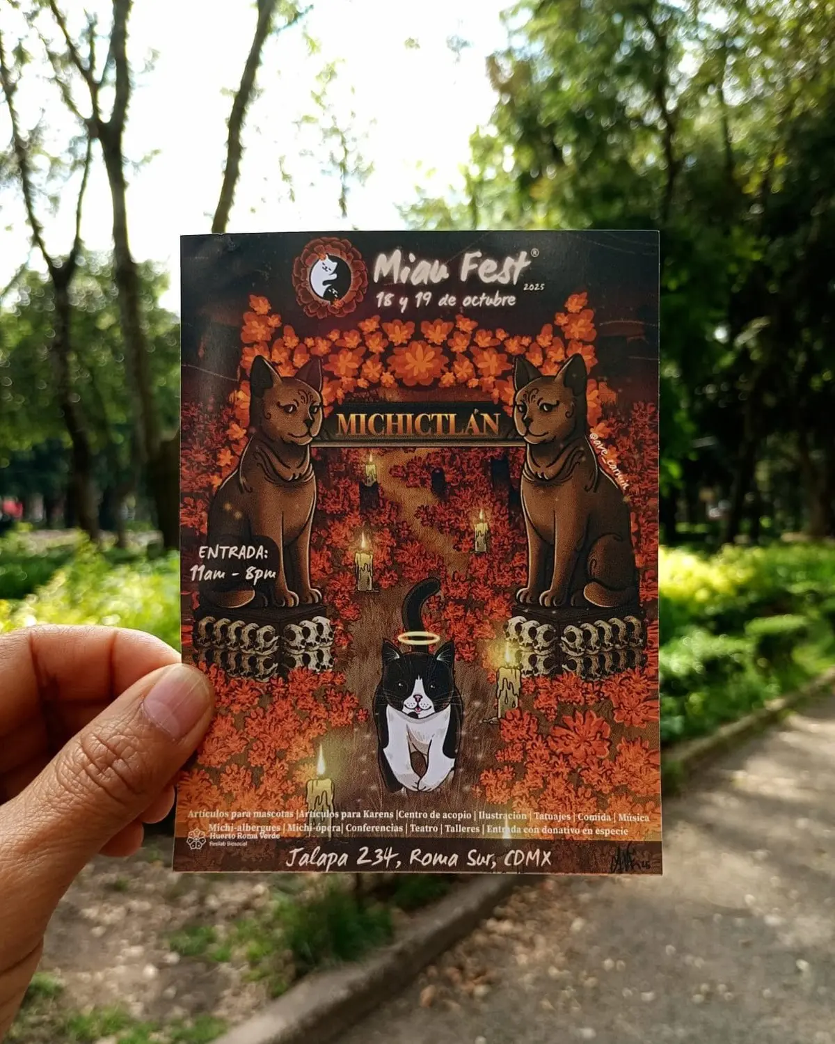 Disfruta del Miau Fest 2025 en CDMX. Foto: Cortesía.