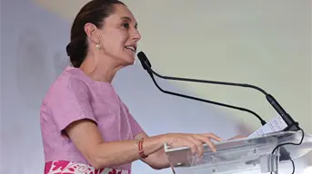 Solo la Presidenta ha sido elegida por la mayoría de los ciudadanos