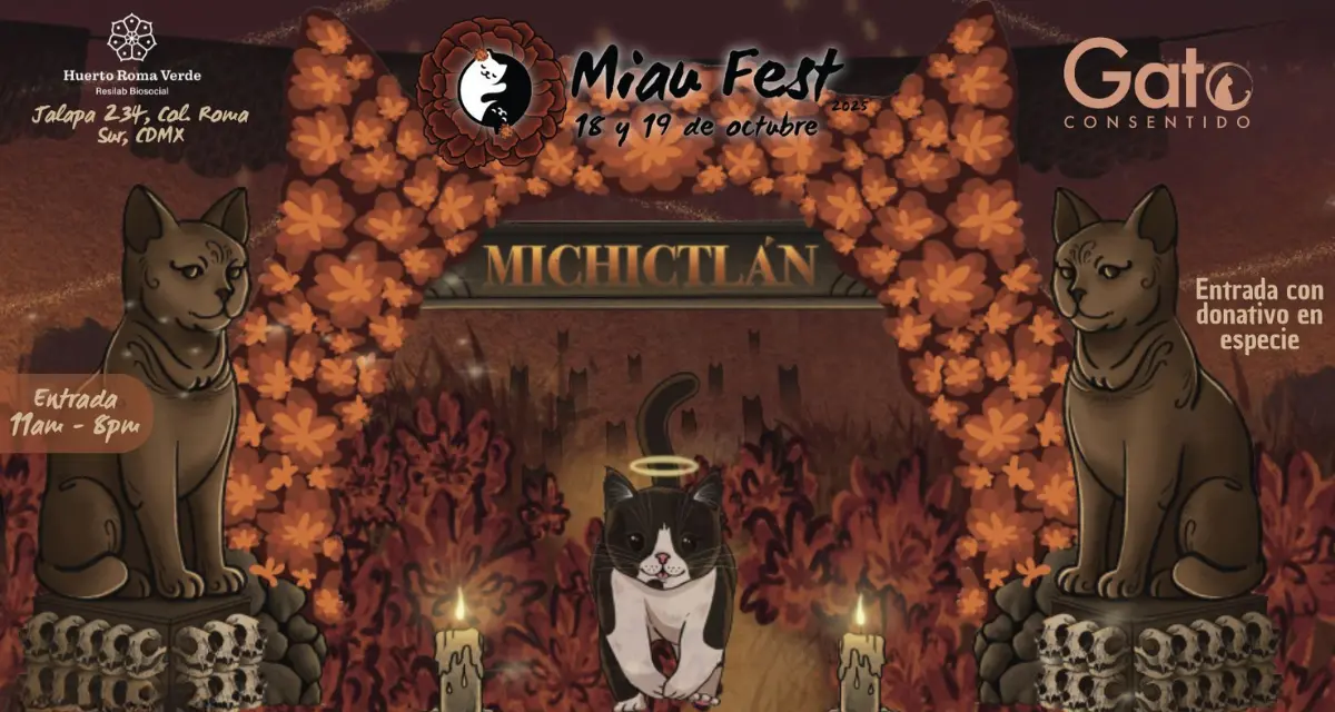 Conoce el evento que celebra a los gatos con temática del Mictlán. Foto: Cortesía.