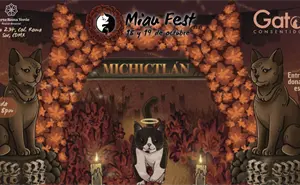 Mictlán en CDMX: así será el Miau Fest 2025, el festival para los amantes de los gatos